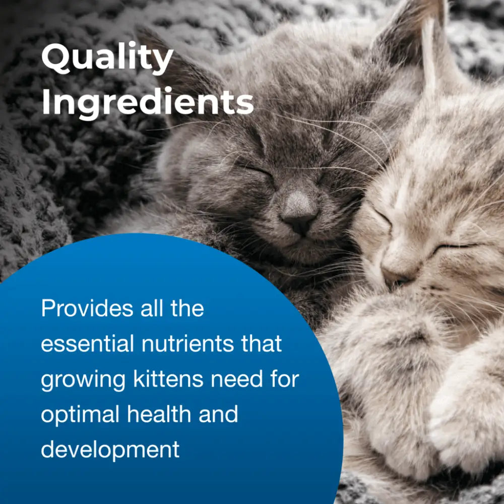 Kmr kitten milk replacer powder| 170g