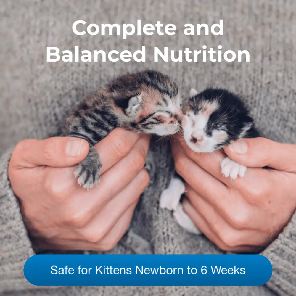 Kmr kitten milk replacer powder| 170g