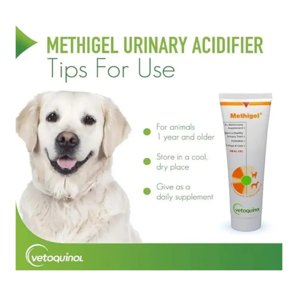 Methigel® | oral gel for cats & dogs | 4.25 oz
