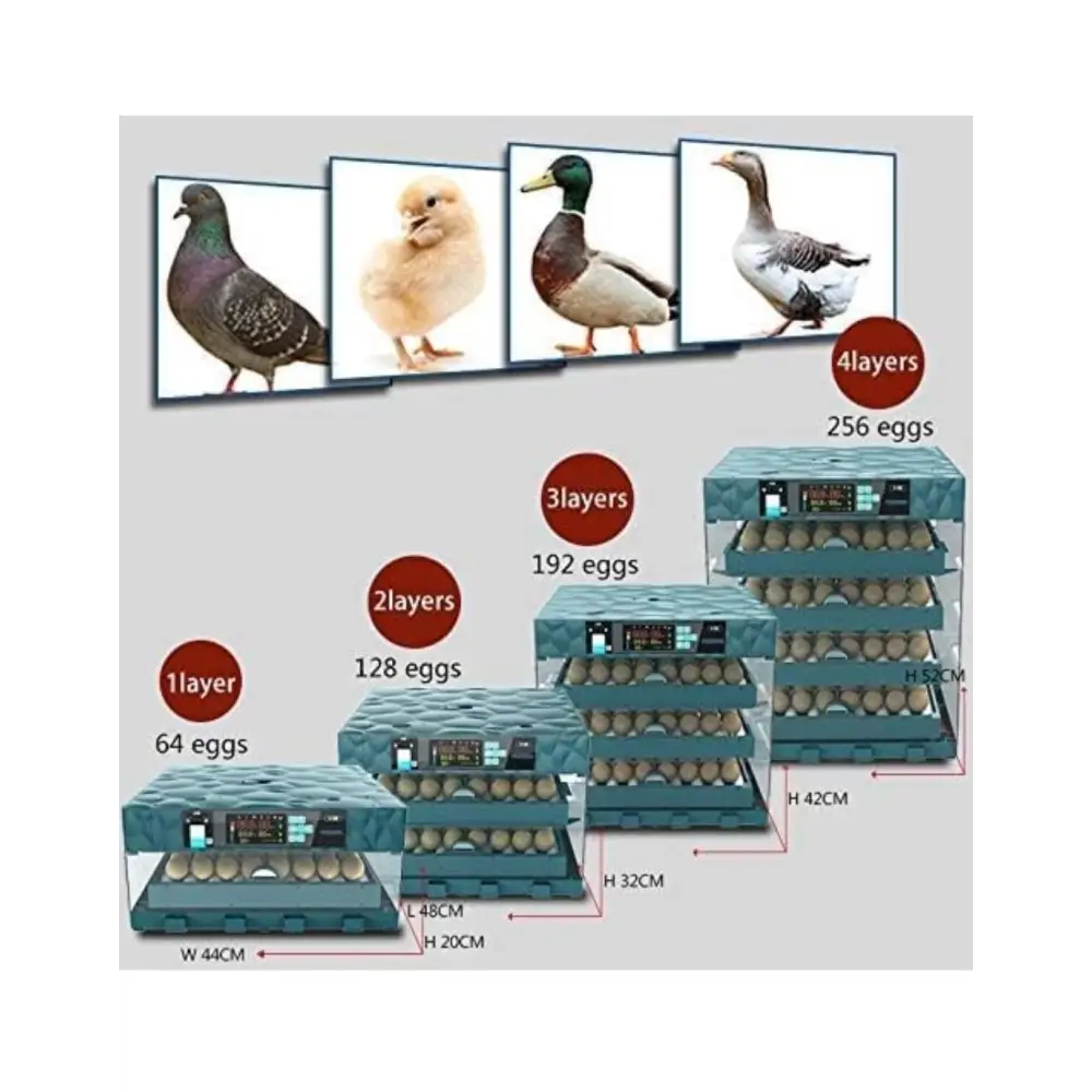 Digital egg incubator for 128 eggs