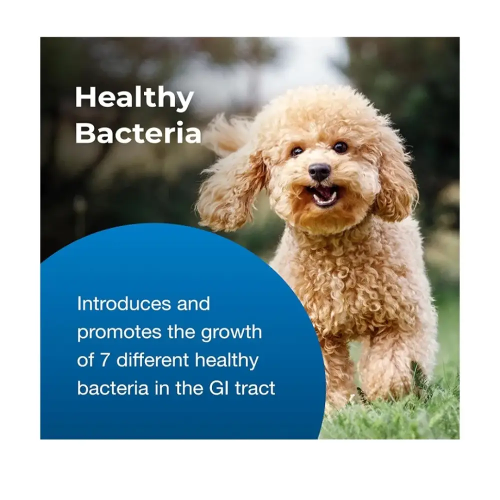 Pet-ag bene-bac® plus mammal gel – probiotic & prebiotic digestive support | 15g