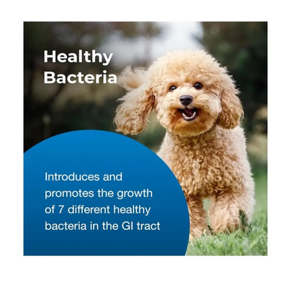 Pet-ag bene-bac® plus mammal gel – probiotic & prebiotic digestive support | 15g