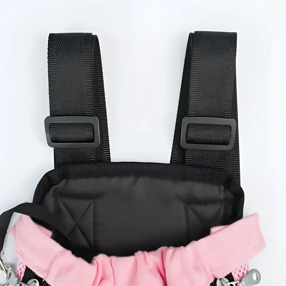 Pet carrier backpack for cats and small dogs
