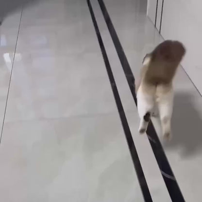 لعبة قطط كهربائية تفاعلية