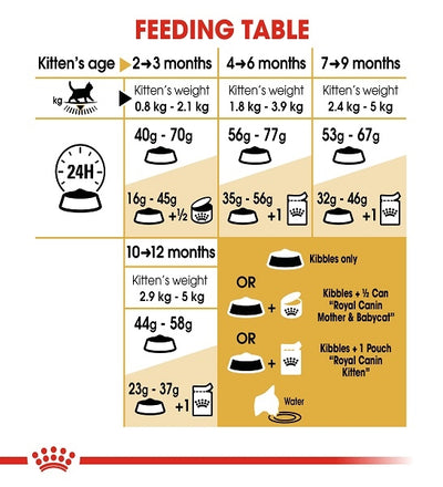 Royal Canin British Shorthair Kitten Dry Food|2KG