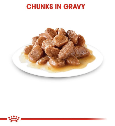 Royal Canin Light Weight Care In Gravy Adult Wet Cat Food | 85G × 12