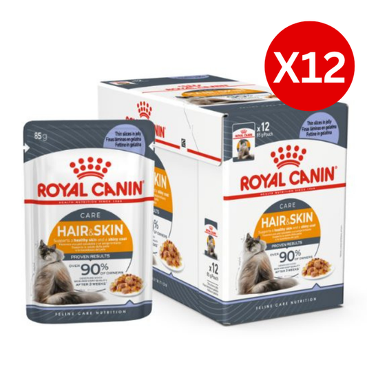 Royal Canin Hair & Skin In Jelly Adult Wet Cat Food | 85G ×12