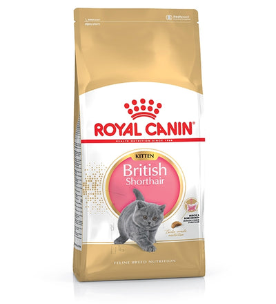 Royal Canin British Shorthair Kitten Dry Food|2KG