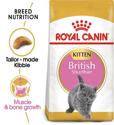 Royal Canin British Shorthair Kitten Dry Food|2KG