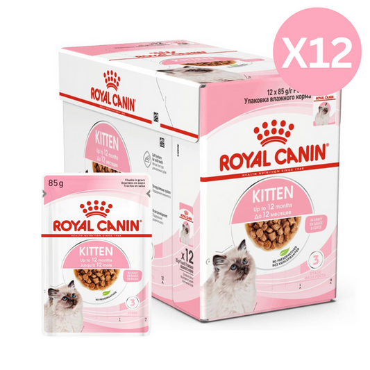 Royal canin Kitten wet food 12 x 85 g
