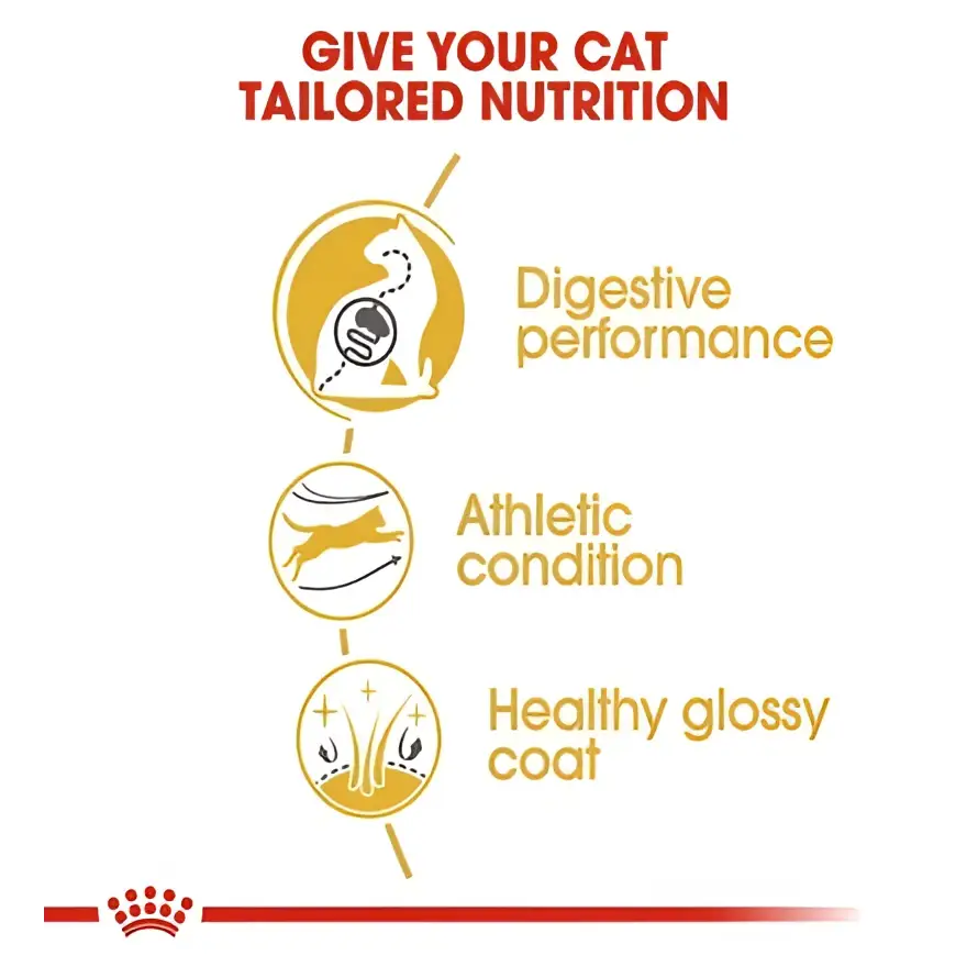 Royal canin bengal adult dry cat food |2kg