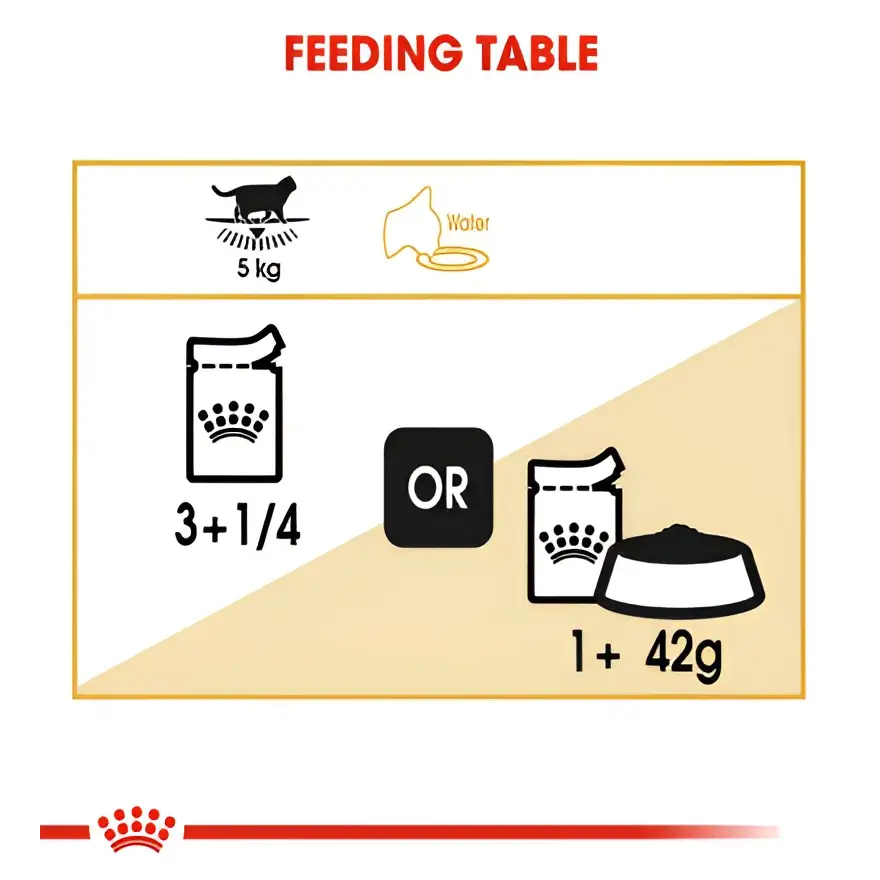 Royal canin british shorthair adult wet cat food | 85g×12