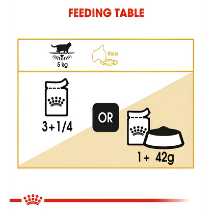 Royal canin british shorthair adult wet cat food | 85g×12