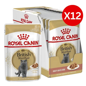Royal canin british shorthair adult wet cat food | 85g×12