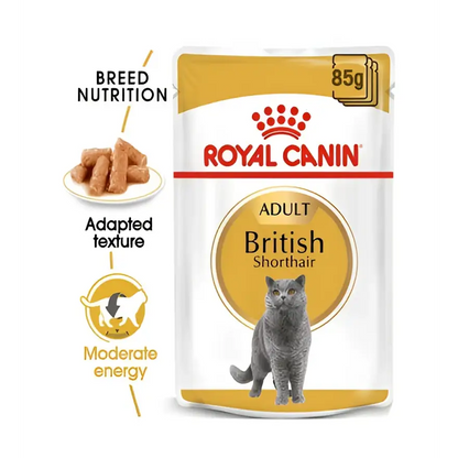 Royal canin british shorthair adult wet cat food | 85g×12