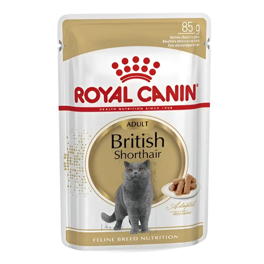 Royal canin british shorthair adult wet cat food | 85g×12