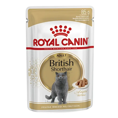 Royal canin british shorthair adult wet cat food | 85g×12