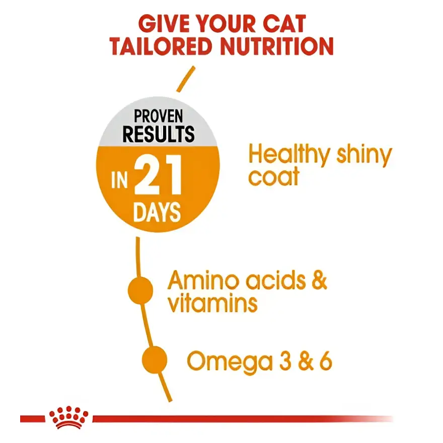 Royal canin hair & skin adult dry cat food