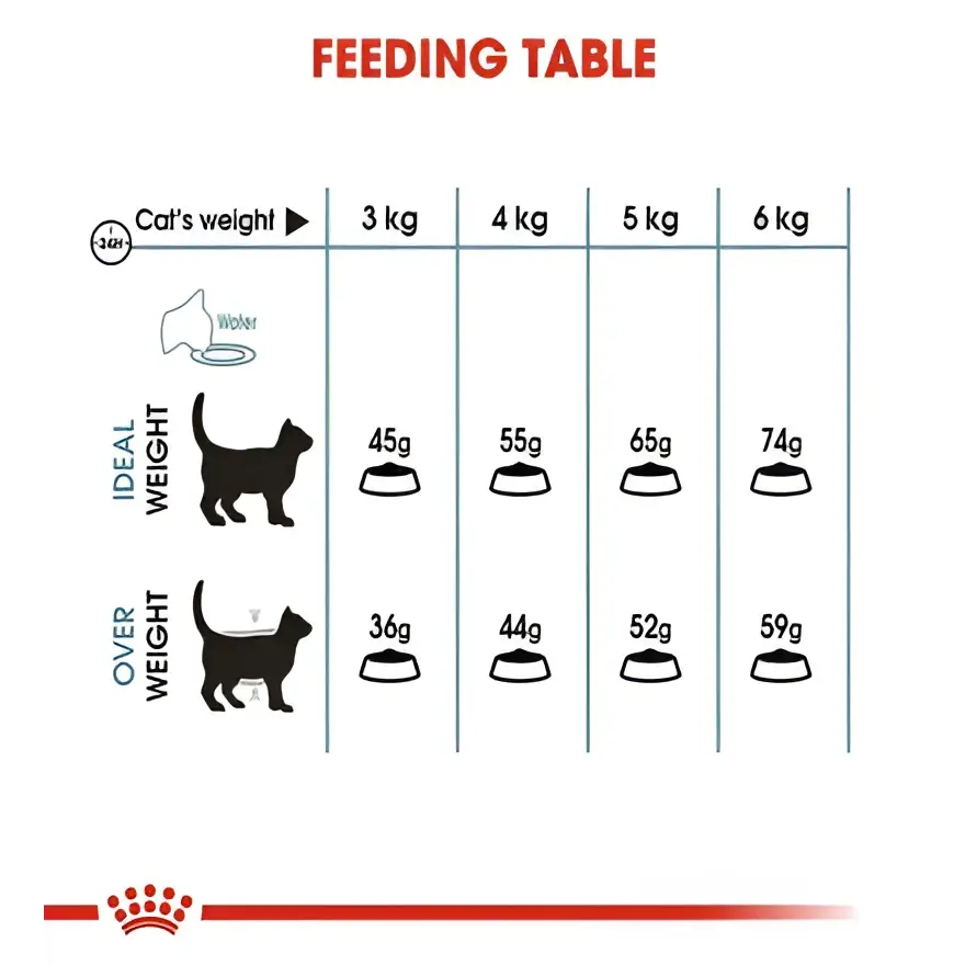 Royal canin hairball care adult dry cat food