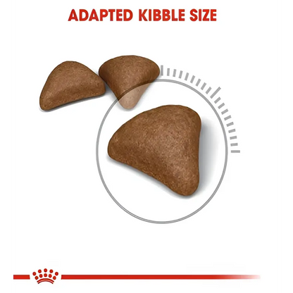 Royal canin hairball care adult dry cat food