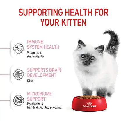Royal canin kitten dry food | 10 kg