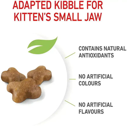 Royal canin kitten dry food | 10 kg