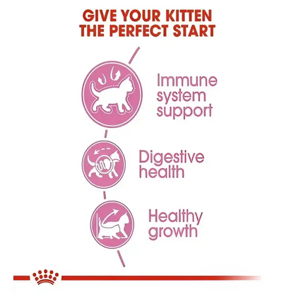Royal canin kitten dry food | 4 kg