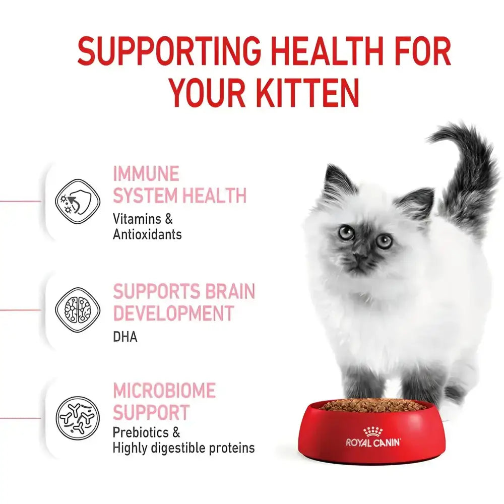 Royal canin kitten dry food | 4 kg
