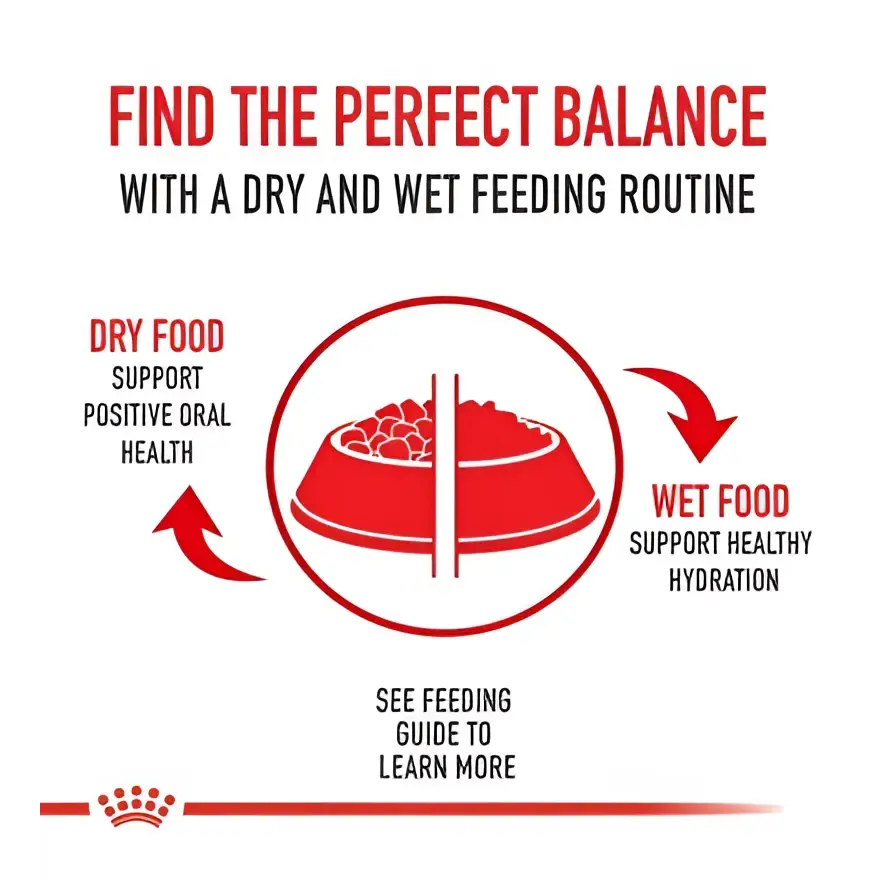 Royal canin light weight care adult dry cat food