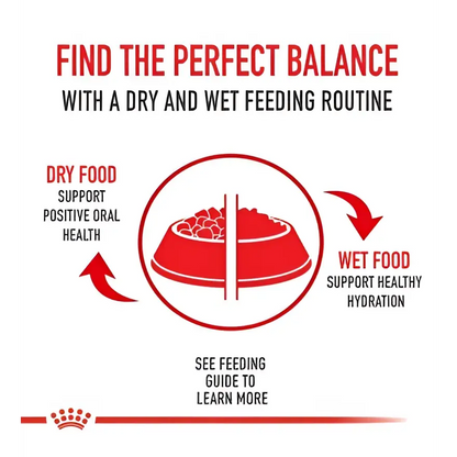 Royal canin light weight care adult dry cat food
