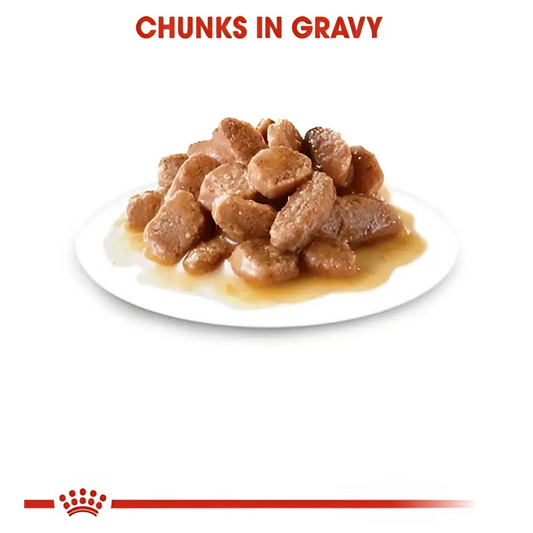 Royal canin light weight care in gravy adult wet cat food | 85g × 12