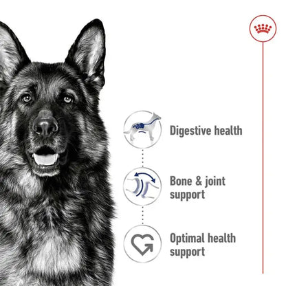 Royal canin maxi adult dry dog food – 10kg