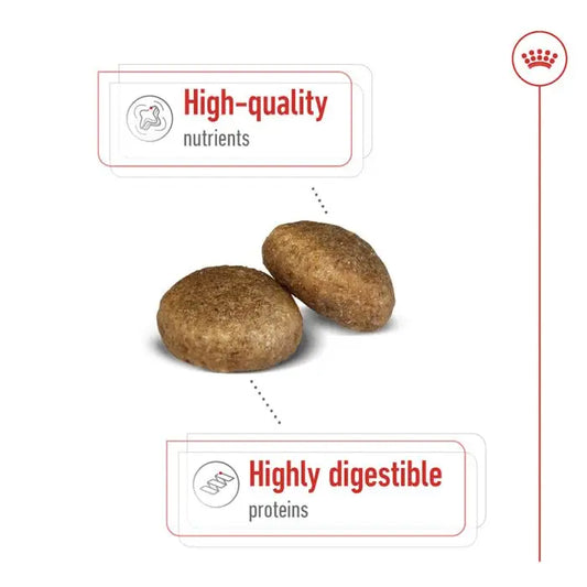 Royal canin maxi adult dry dog food – 10kg