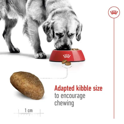 Royal canin maxi adult dry dog food – 10kg