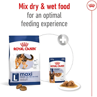 Royal canin maxi adult dry dog food