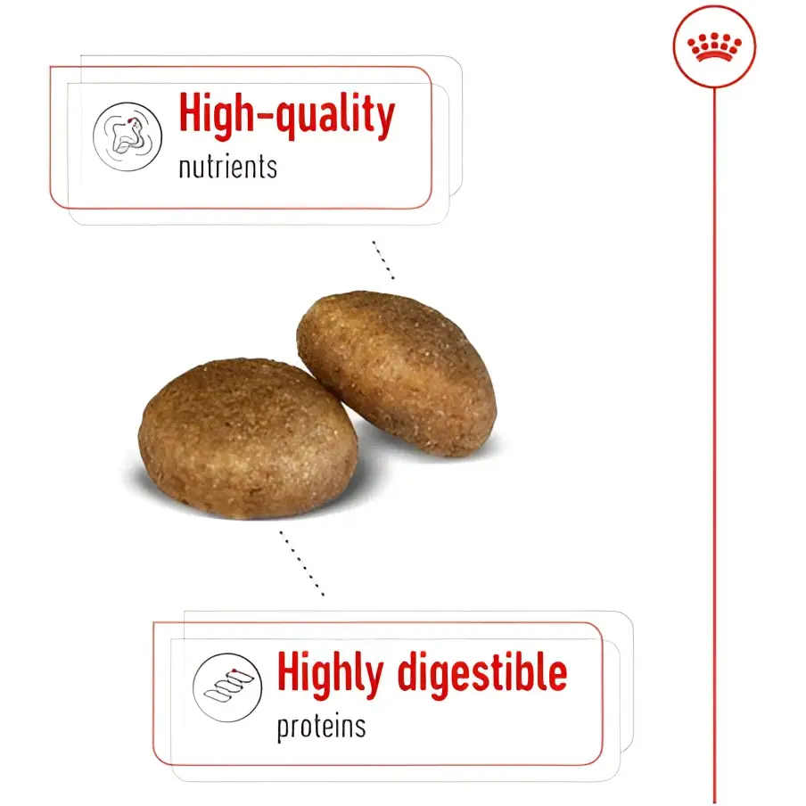 Royal canin maxi adult dry dog food