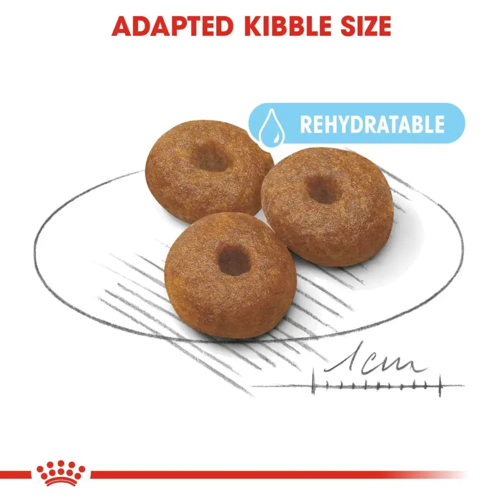 Royal canin maxi starter mother & babydog dry dog food