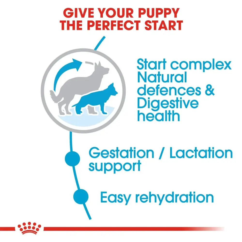 Royal canin maxi starter mother & babydog dry dog food