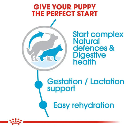 Royal canin maxi starter mother & babydog dry dog food