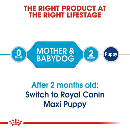 Royal canin maxi starter mother & babydog dry dog food