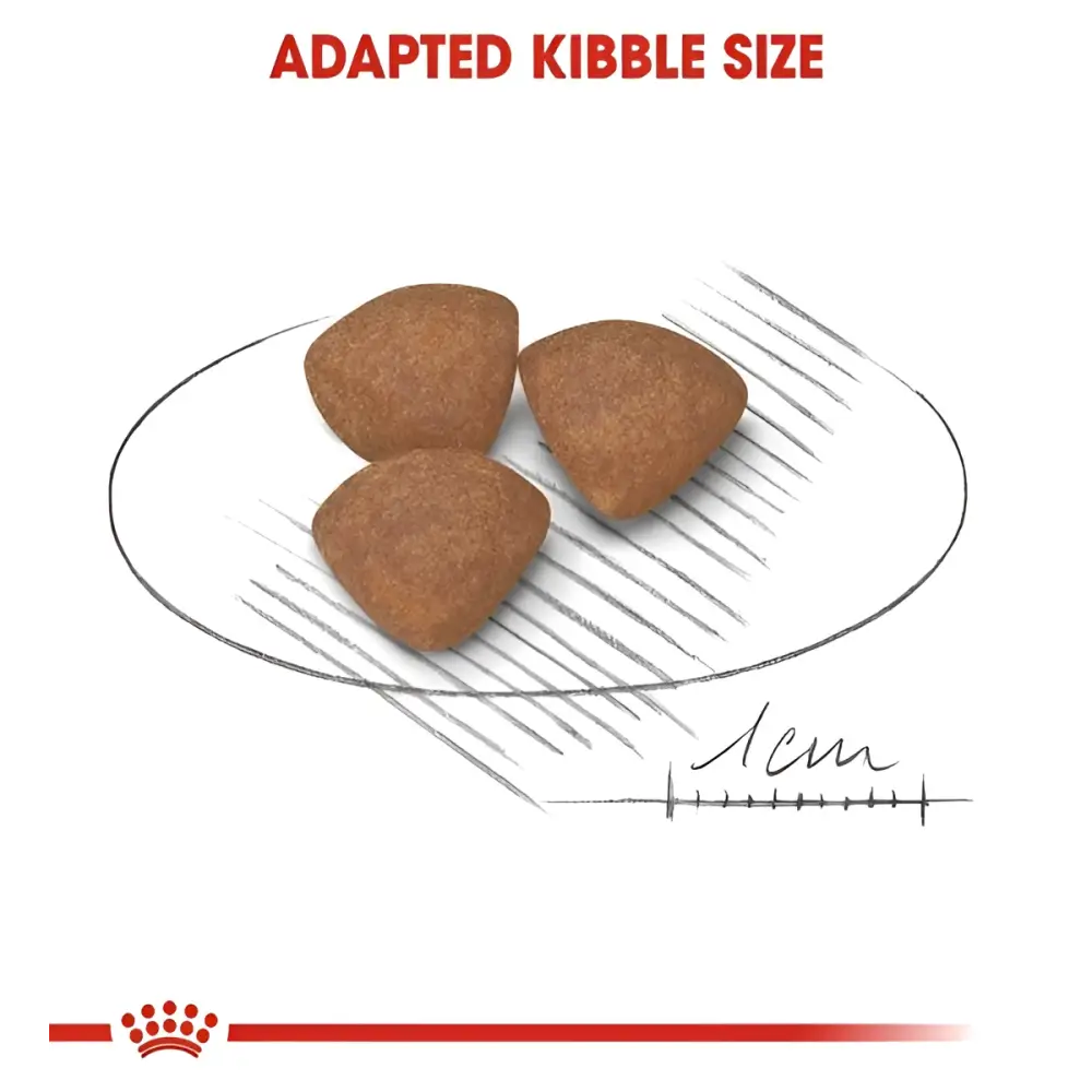Royal canin mini puppy dry food