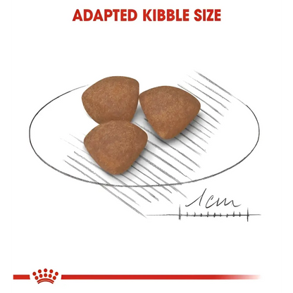 Royal canin mini puppy dry food
