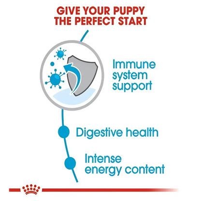 Royal canin mini puppy dry food