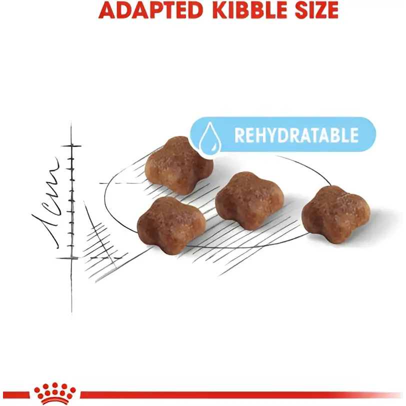Royal canin mother & babycat dry cat food