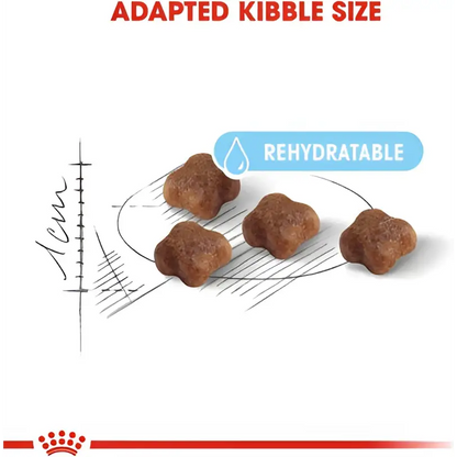 Royal canin mother & babycat dry cat food