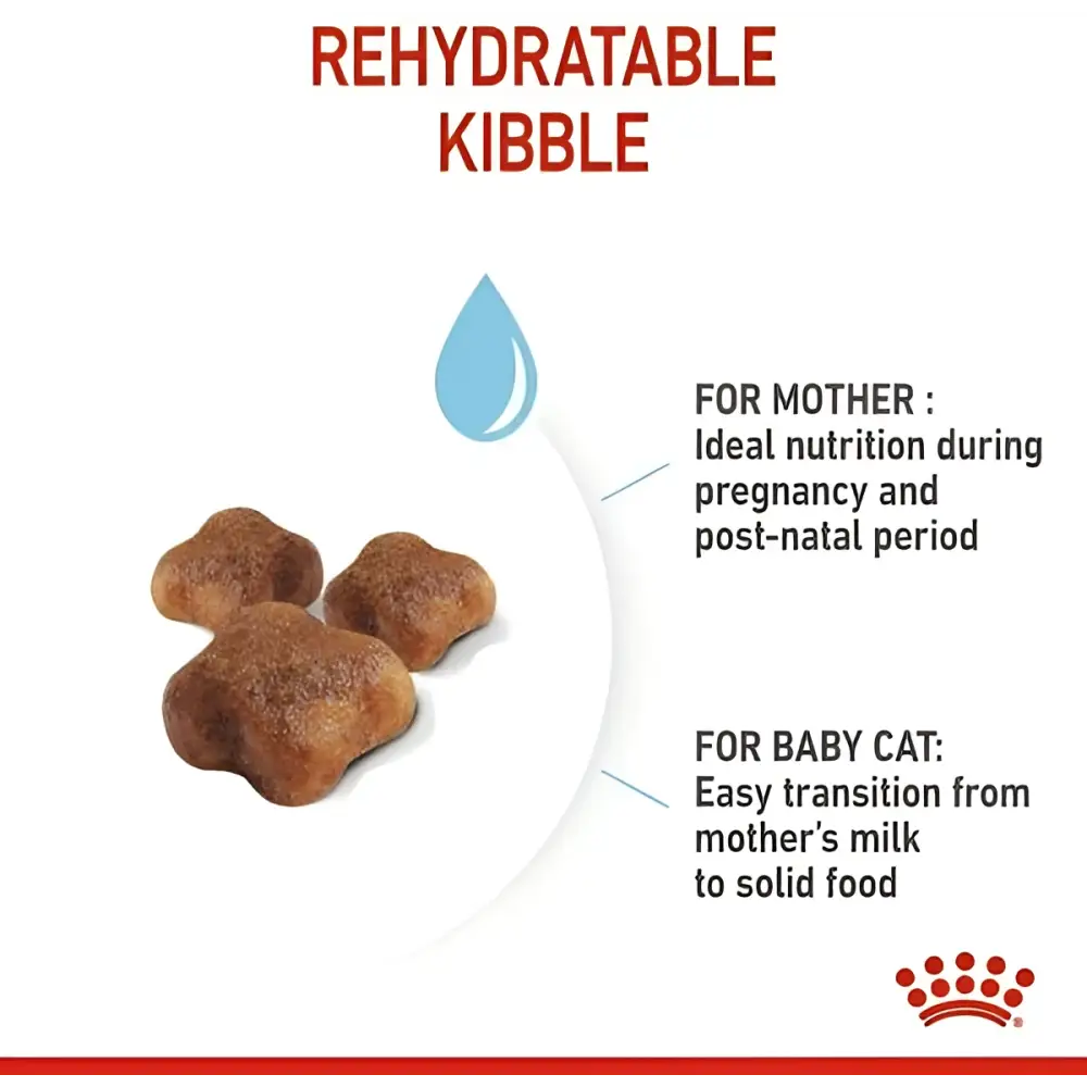 Royal canin mother & babycat dry cat food