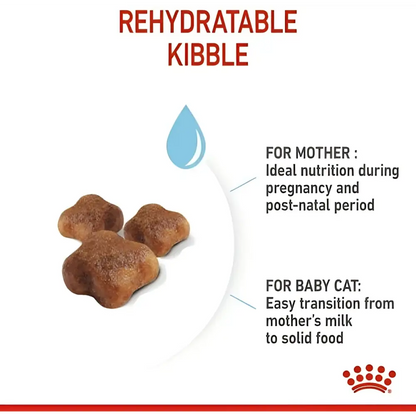 Royal canin mother & babycat dry cat food