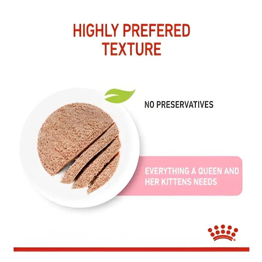 Royal canin mother & babycat mousse wet cat food