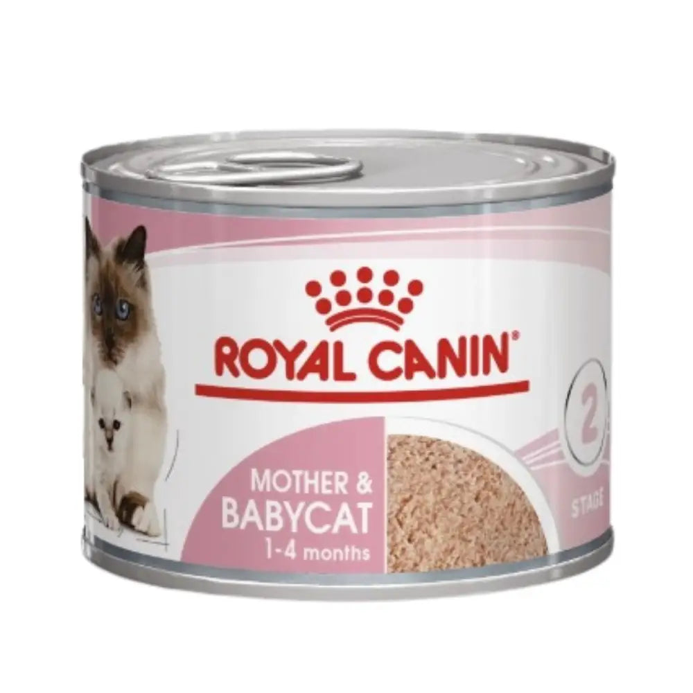 Royal canin mother & babycat mousse wet cat food