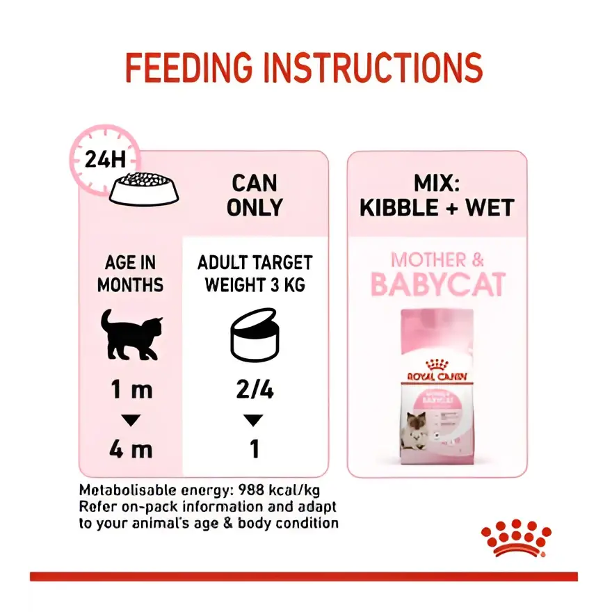 Royal canin mother & babycat mousse wet cat food